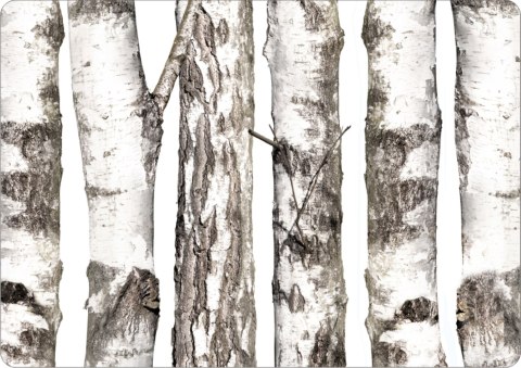 Podkładka - BRZOZY - 29 cm x 42 cm Podkładka - BRZOZY - 29 cm x 42 cm