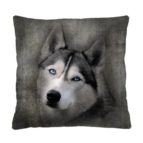 Poduszka - HUSKY 40x40 cm Poduszka - HUSKY 40x40 cm