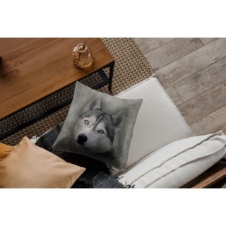 Poduszka - HUSKY 40x40 cm
