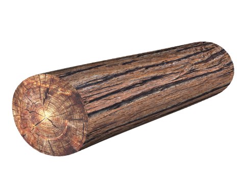 Poduszka Wałek - Akacja Ø16x55 cm Poduszka Wałek - Akacja Ø16x55 cm