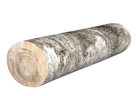 Poduszka Wałek - Brzoza Ø16x55 cm Poduszka Wałek - Brzoza Ø16x55 cm