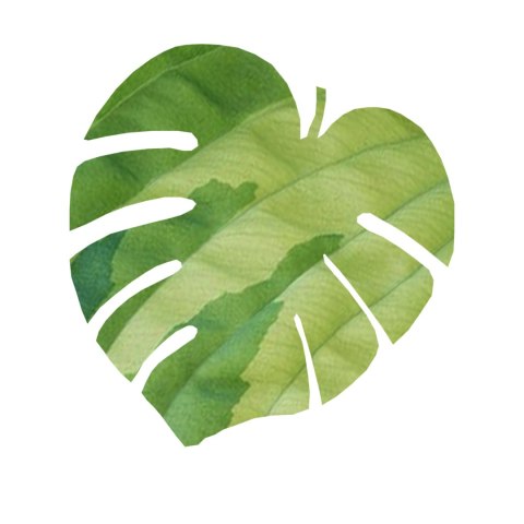Podkładka Monstera D 40x40 cm gr. 4 mm - Green Podkładka Monstera D 40x40 cm gr. 4 mm - Green