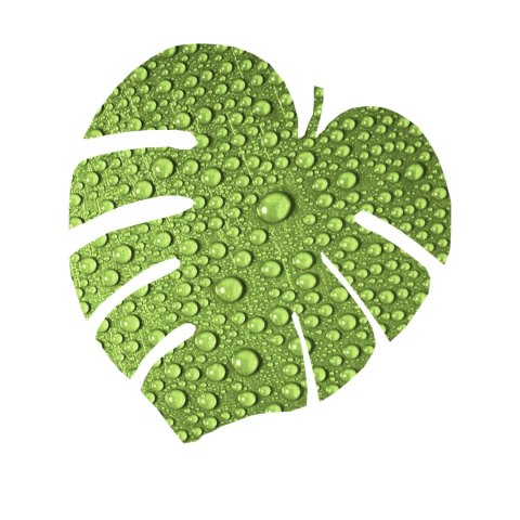 Podkładka Monstera D 40x40 cm gr. 4 mm - Rain Podkładka Monstera D 40x40 cm gr. 4 mm - Rain