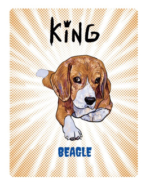 TABLICZKA KING BEAGLE YOUNG - 20x28 cm TABLICZKA KING BEAGLE YOUNG - 20x28 cm