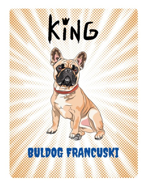 TABLICZKA KING BULLDOG FRANCUSKI - 20x28 cm TABLICZKA KING BULLDOG FRANCUSKI - 20x28 cm